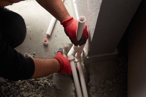 Best Local Plumber Services  in Point Roberts, WA