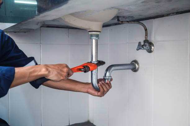 Professional Plumbing in Point Roberts, WA