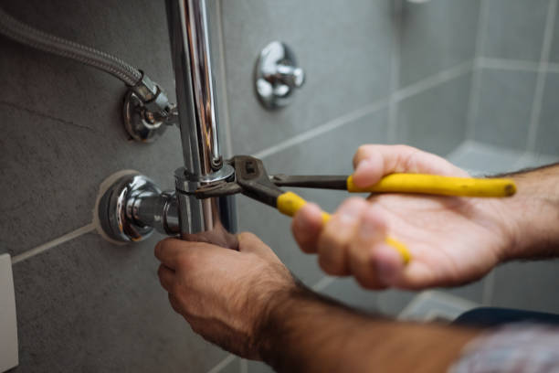 Best Toilet Repair Services  in Point Roberts, WA